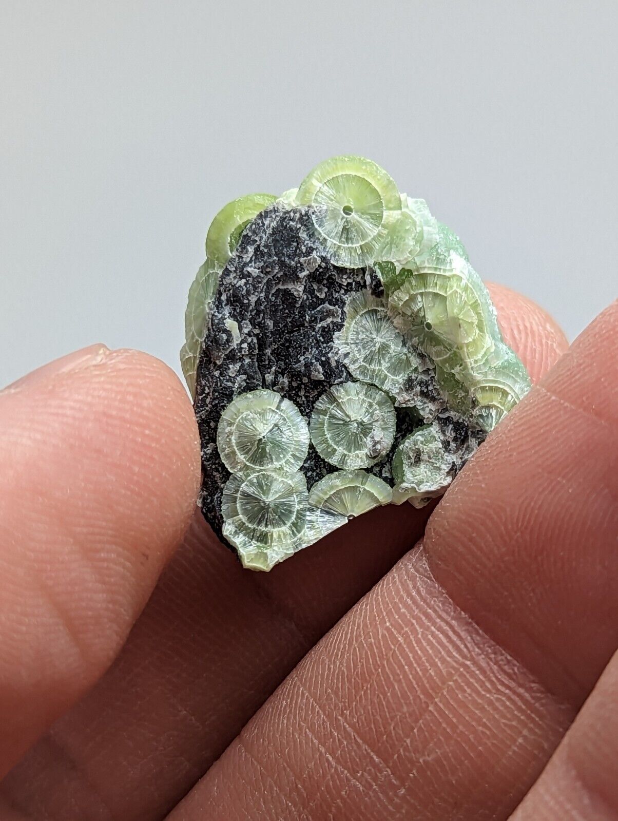 Unique Wavellite - Fantastic 1990s Old Stock - Mauldin Mountain Arkansas - Collectibles:Rocks Fossils &