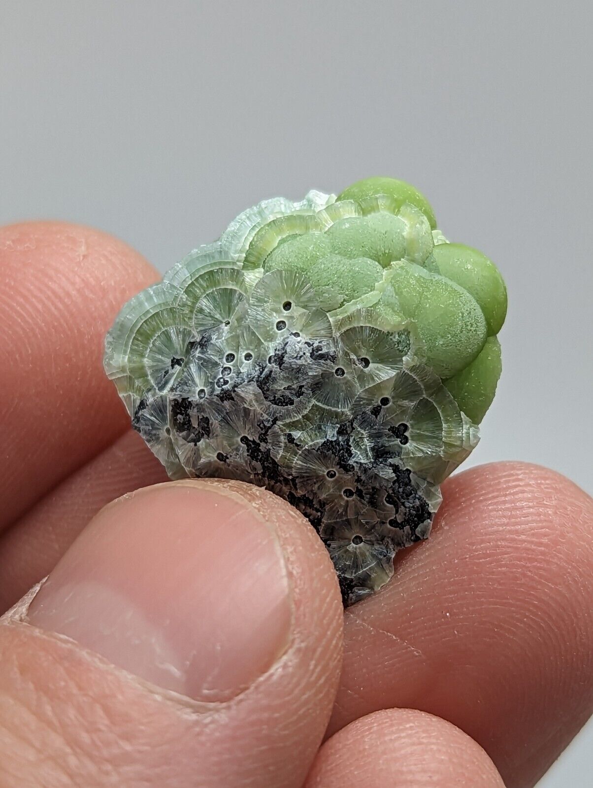 Unique Wavellite - Fantastic 1990s Old Stock - Mauldin Mountain Arkansas - Collectibles:Rocks Fossils &