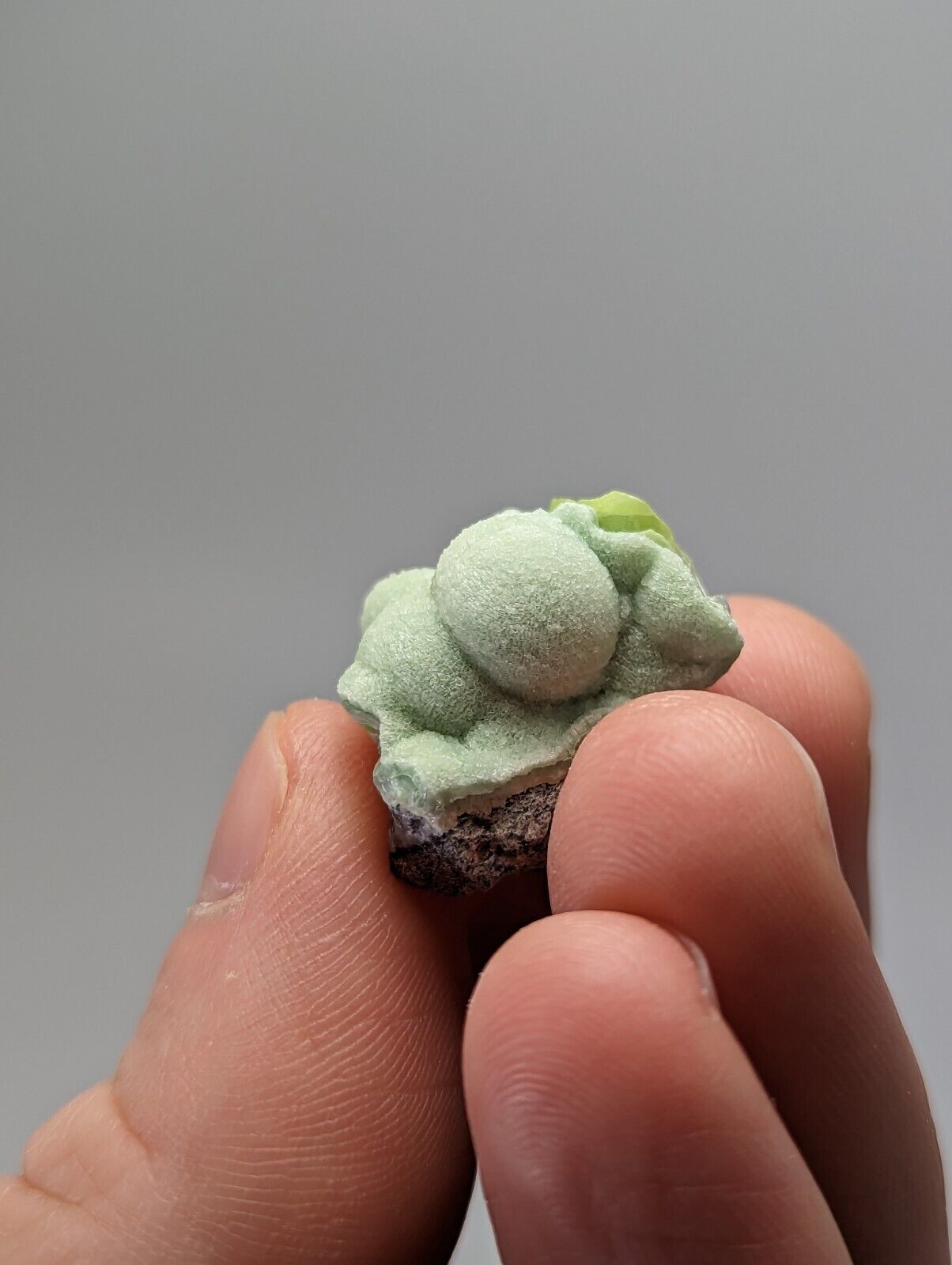 Unique Wavellite - Fantastic 1990s Old Stock - Mauldin Mountain Arkansas - Collectibles:Rocks Fossils &