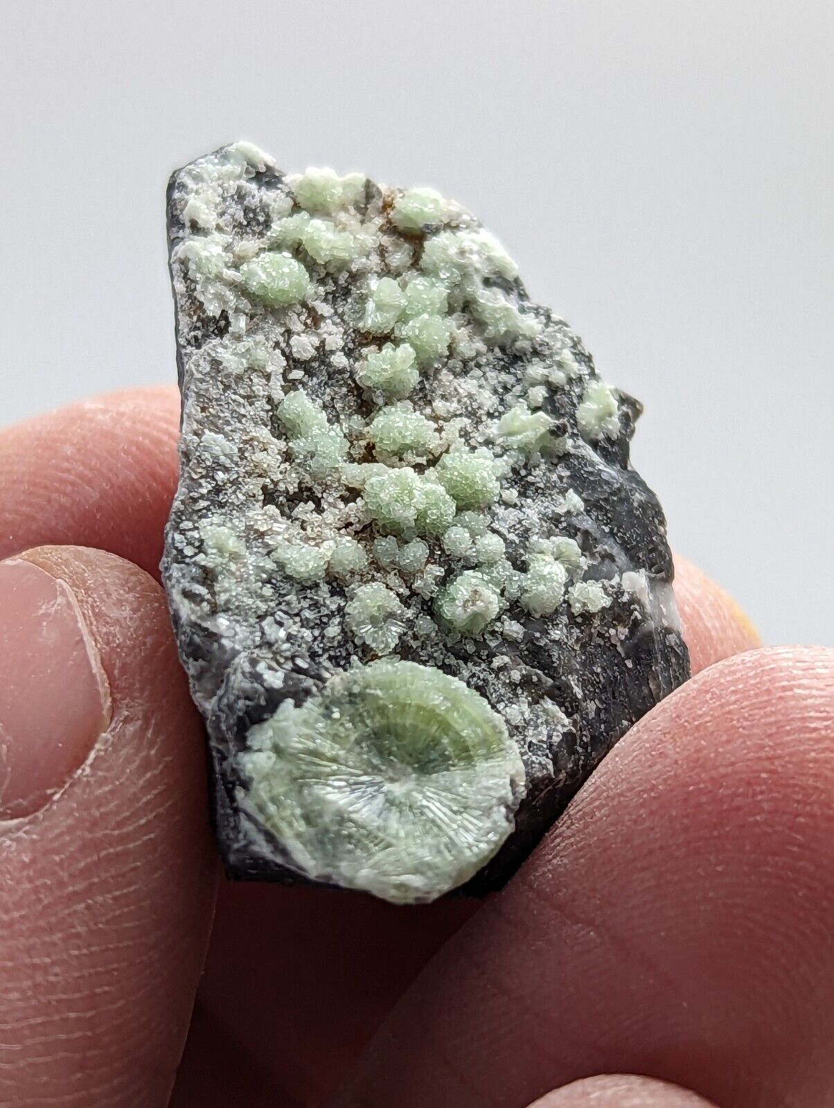 Unique Wavellite - Fantastic 1990s Old Stock - Mauldin Mountain Arkansas - Collectibles:Rocks Fossils &