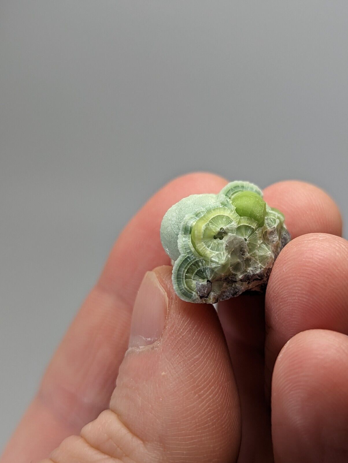 Unique Wavellite - Fantastic 1990s Old Stock - Mauldin Mountain Arkansas - Collectibles:Rocks Fossils &