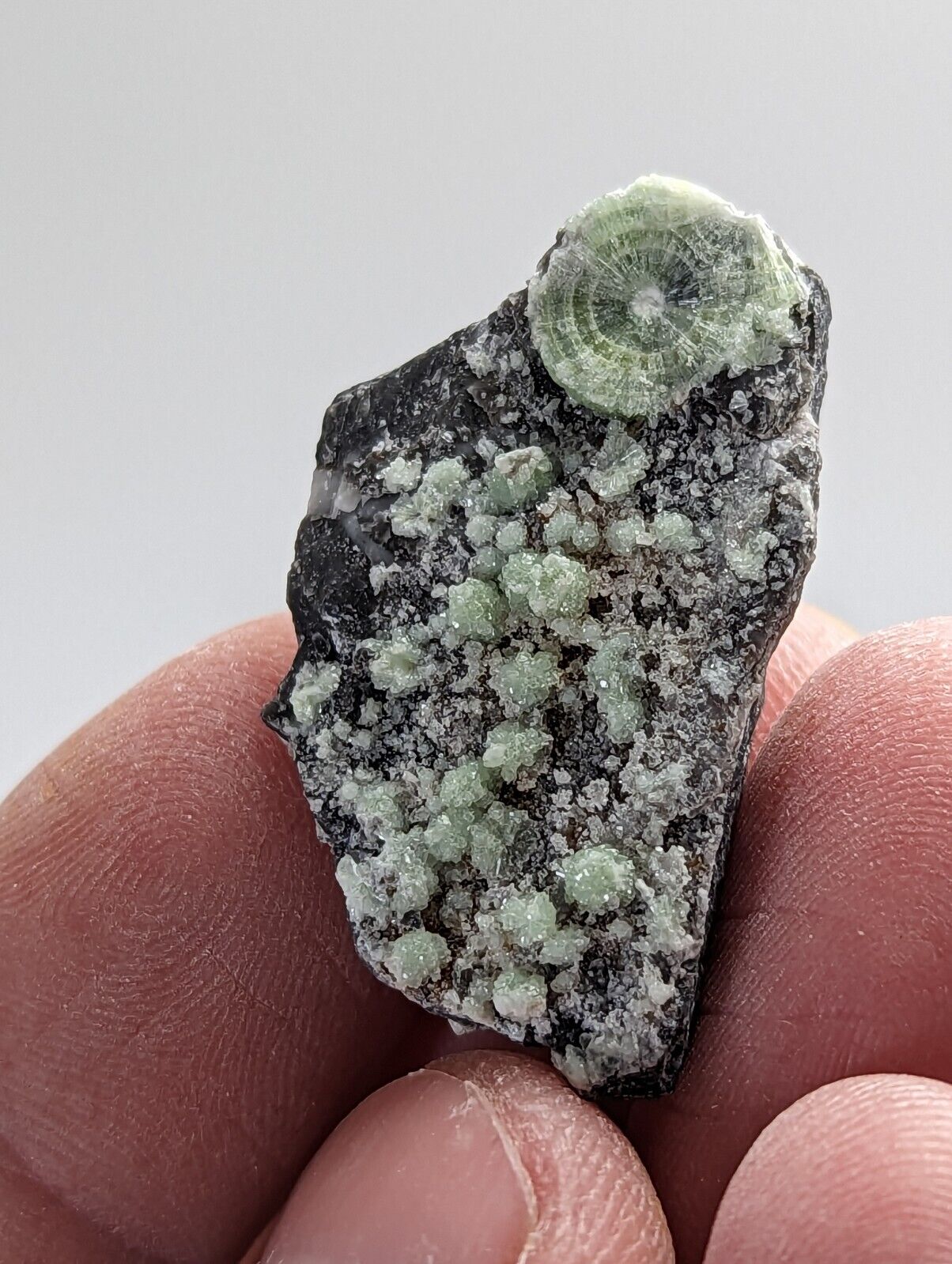 Unique Wavellite - Fantastic 1990s Old Stock - Mauldin Mountain Arkansas - Collectibles:Rocks Fossils &