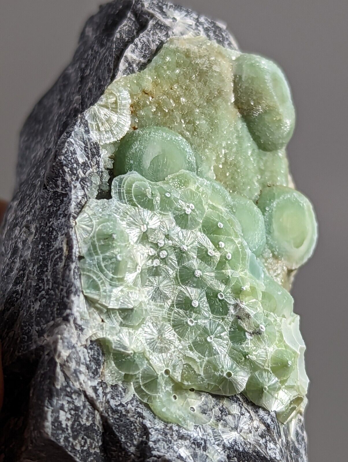 Unique Wavellite - Fantastic 1990s Old Stock - Mauldin Mountain Arkansas - Collectibles:Rocks Fossils &