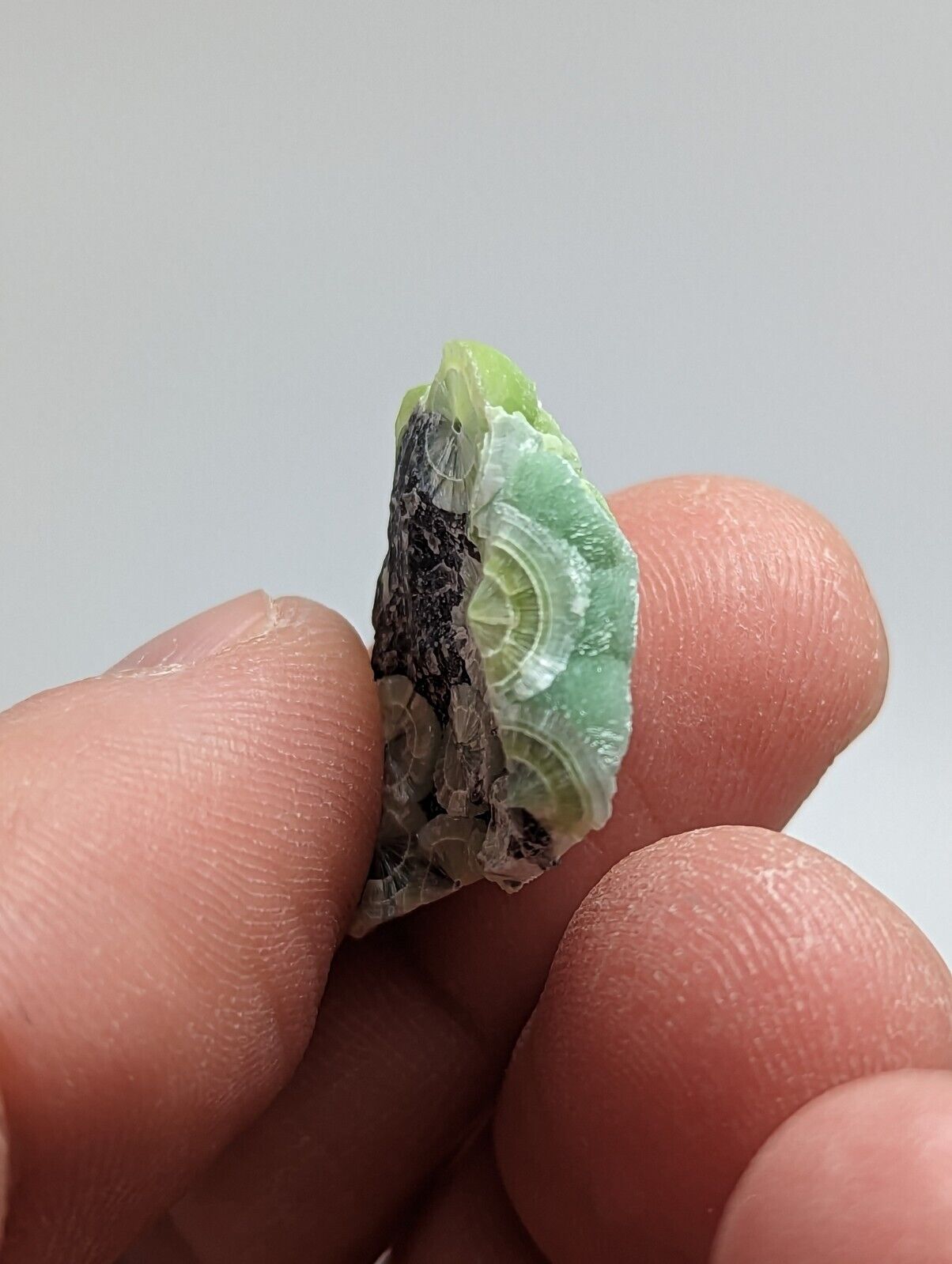 Unique Wavellite - Fantastic 1990s Old Stock - Mauldin Mountain Arkansas - Collectibles:Rocks Fossils &