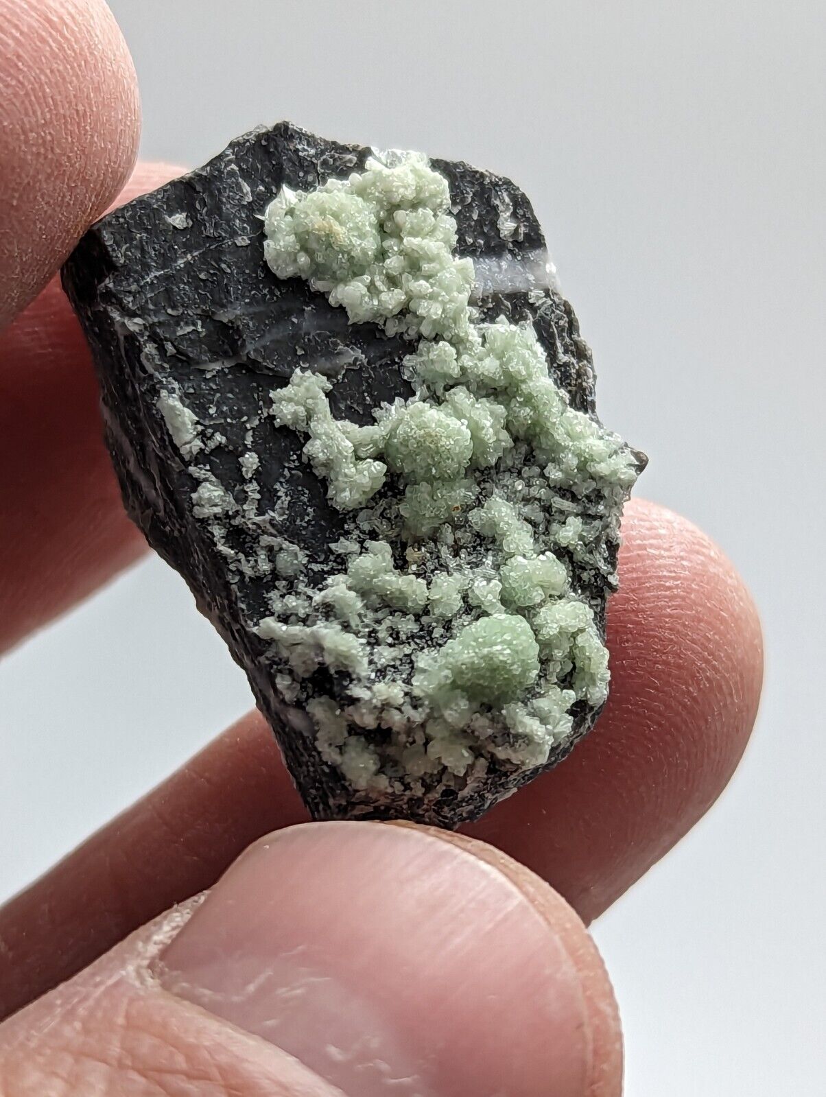 Unique Wavellite - Fantastic 1990s Old Stock - Mauldin Mountain Arkansas - Collectibles:Rocks Fossils &