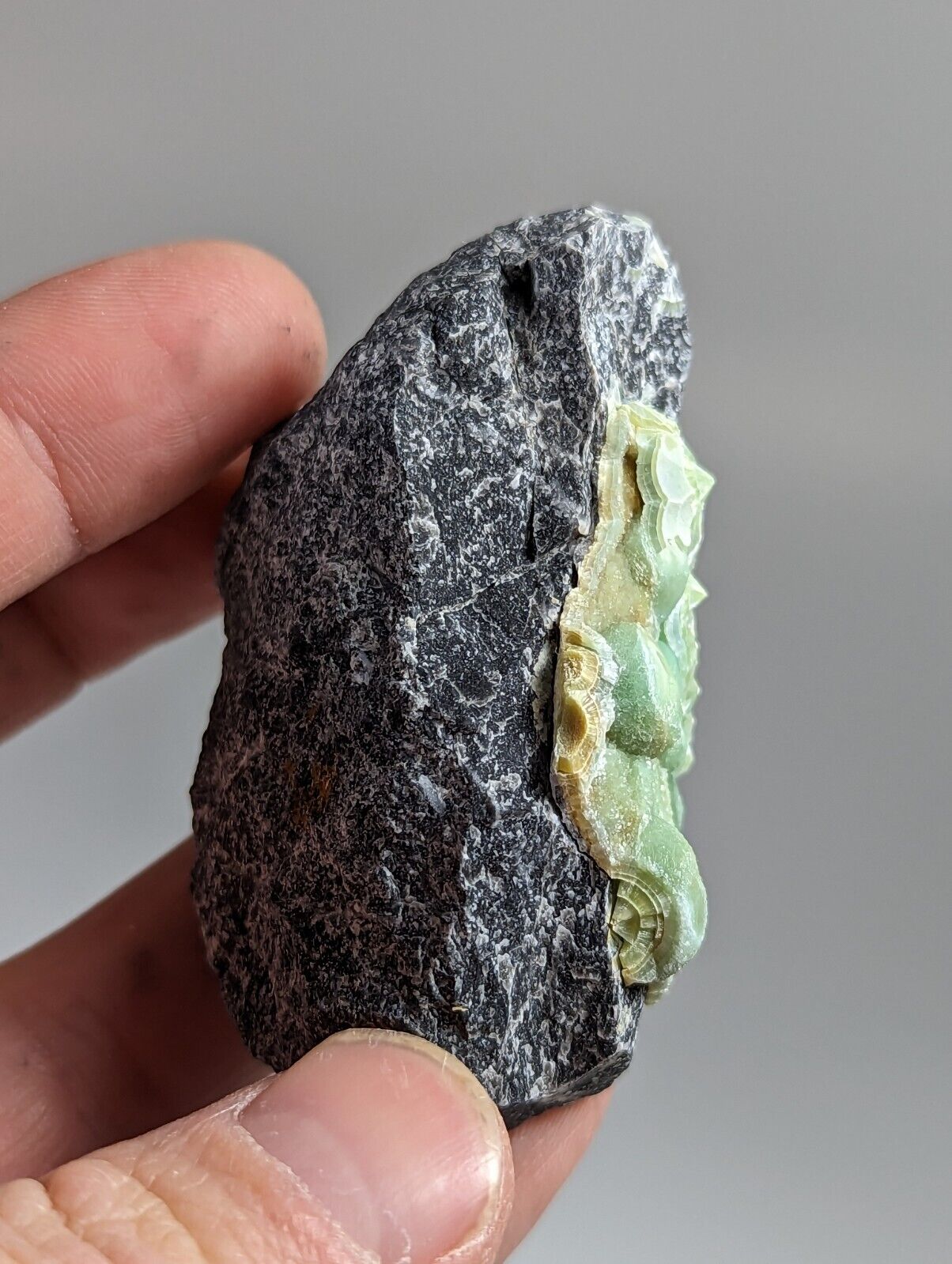 Unique Wavellite - Fantastic 1990s Old Stock - Mauldin Mountain Arkansas - Collectibles:Rocks Fossils &
