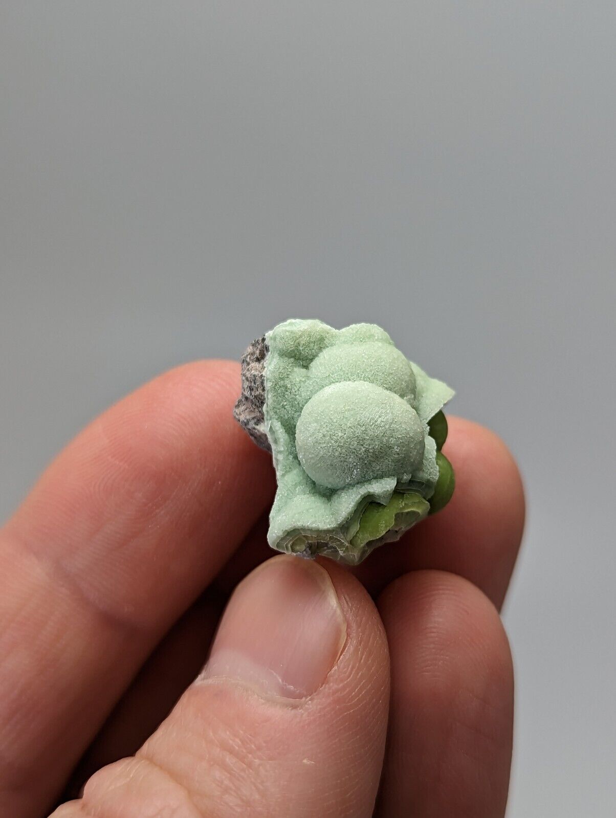 Unique Wavellite - Fantastic 1990s Old Stock - Mauldin Mountain Arkansas - Collectibles:Rocks Fossils &