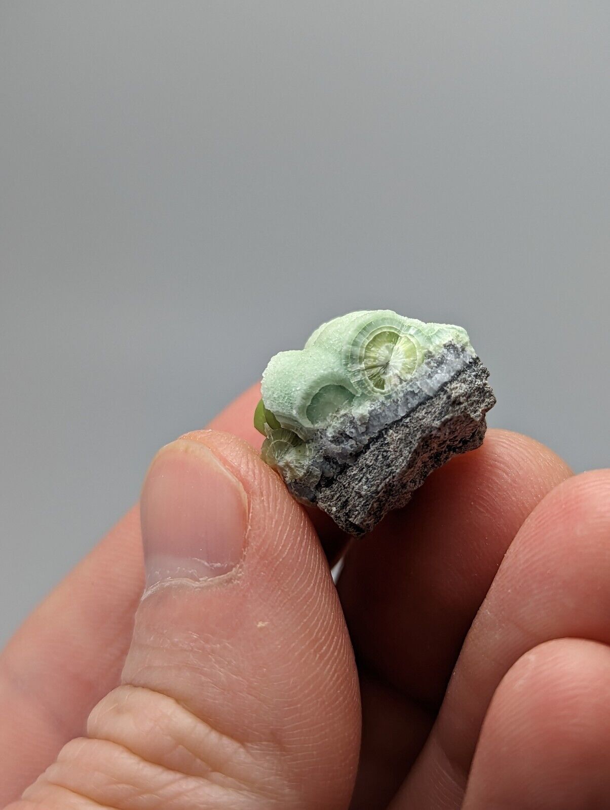 Unique Wavellite - Fantastic 1990s Old Stock - Mauldin Mountain Arkansas - Collectibles:Rocks Fossils &