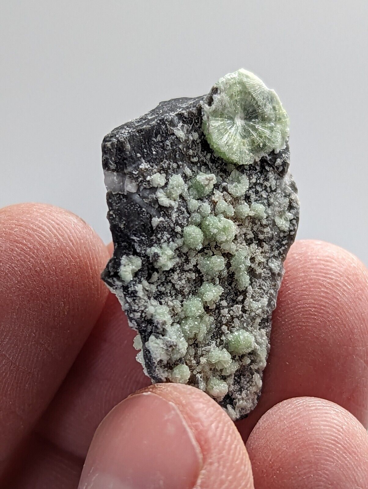 Unique Wavellite - Fantastic 1990s Old Stock - Mauldin Mountain Arkansas - Collectibles:Rocks Fossils &
