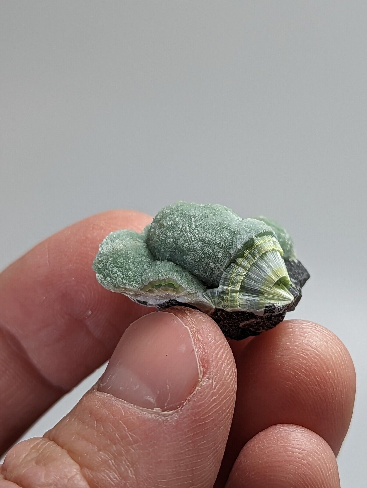Unique Wavellite - Fantastic 1990s Old Stock - Mauldin Mountain Arkansas - Collectibles:Rocks Fossils &