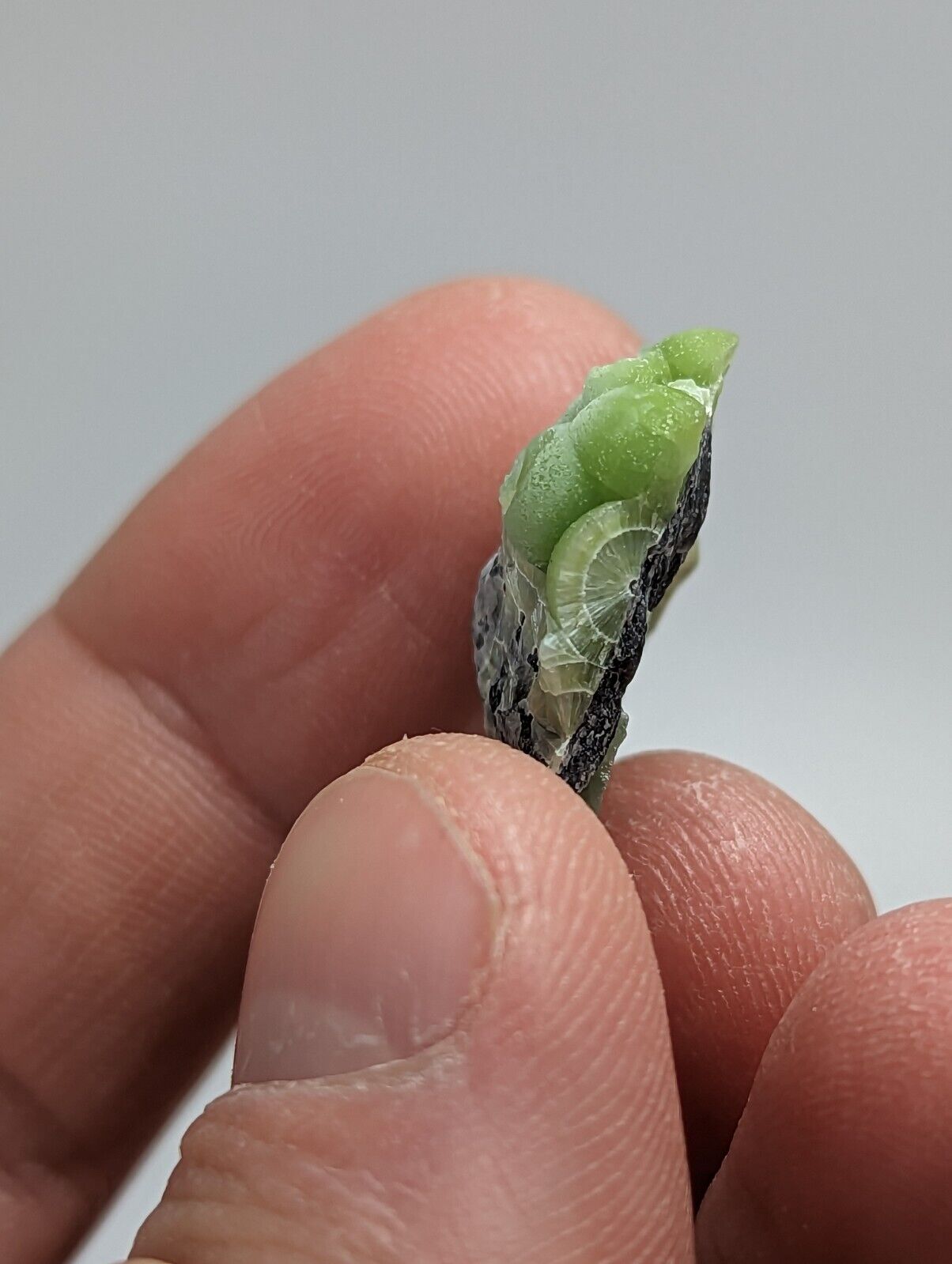 Unique Wavellite - Fantastic 1990s Old Stock - Mauldin Mountain Arkansas - Collectibles:Rocks Fossils &