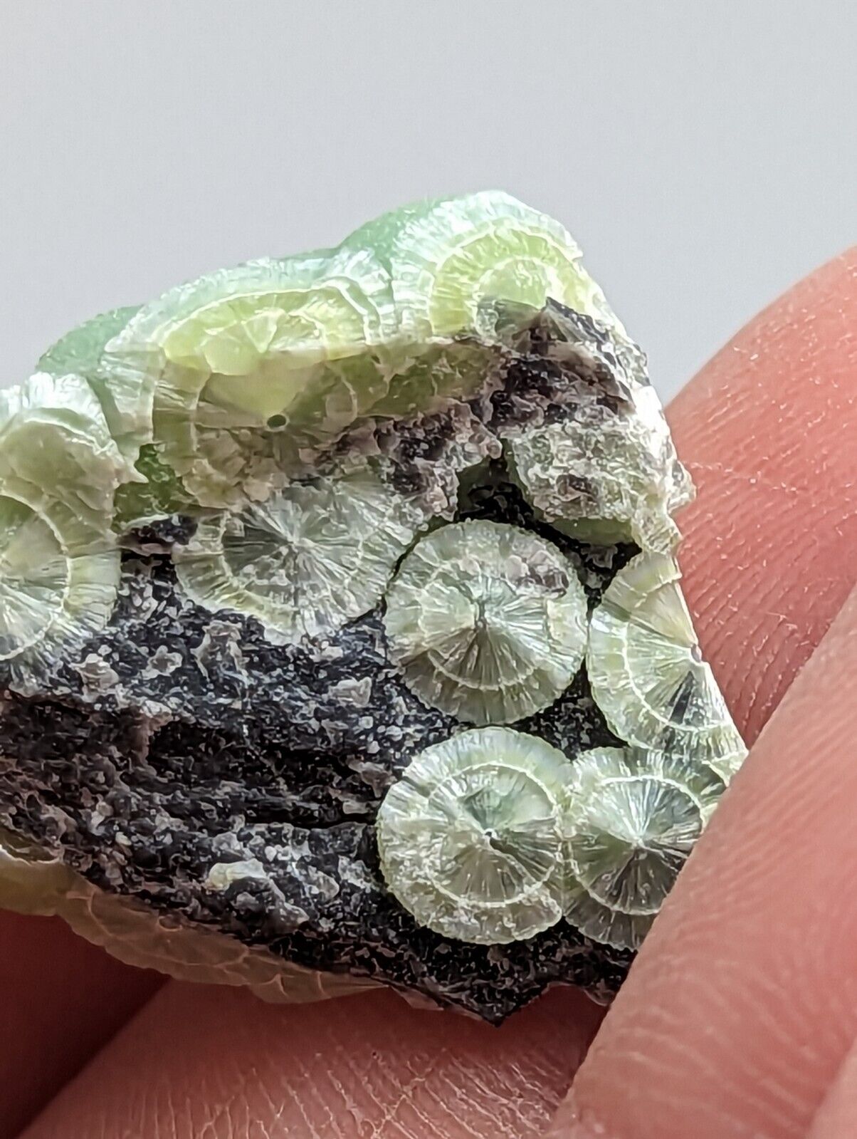 Unique Wavellite - Fantastic 1990s Old Stock - Mauldin Mountain Arkansas - Collectibles:Rocks Fossils &