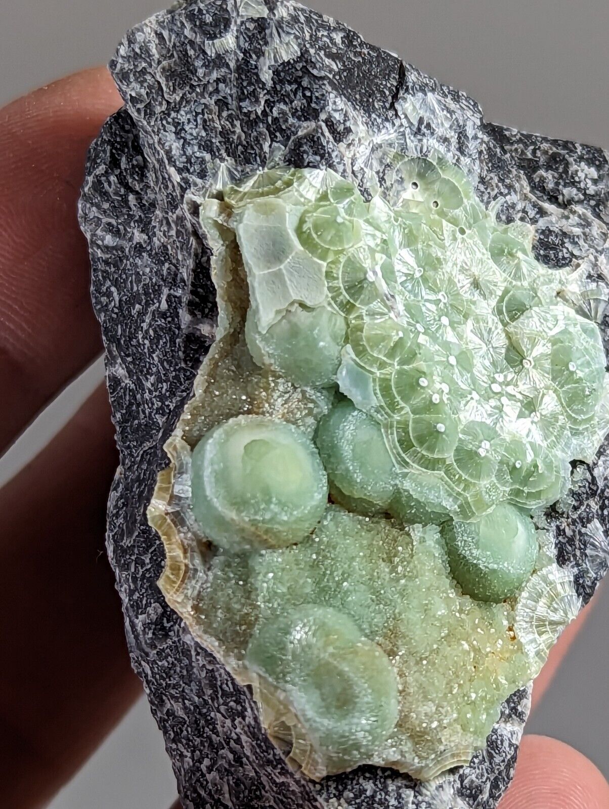 Unique Wavellite - Fantastic 1990s Old Stock - Mauldin Mountain Arkansas - Collectibles:Rocks Fossils &