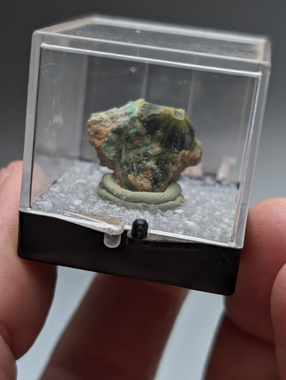 Unique green and black wavellite mineral specimen with near-turquoise hues displayed in clear plastic case from Arkansas