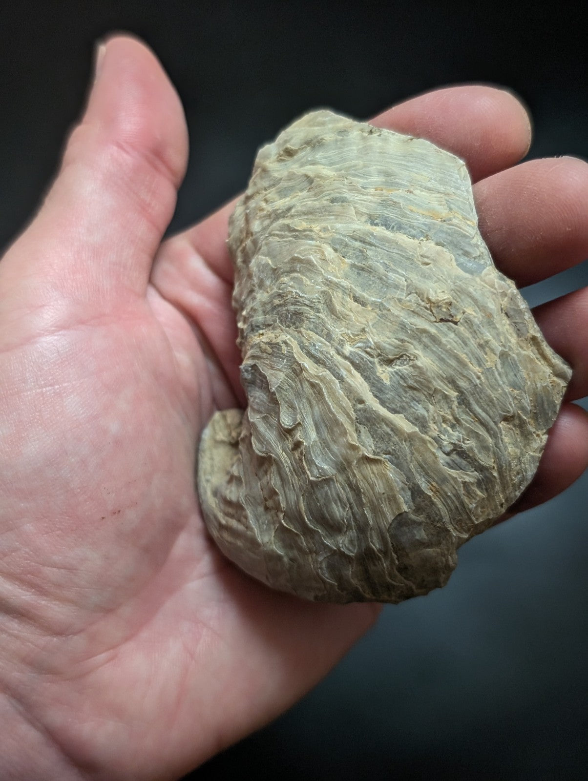 Textured, gray-green rock formation.