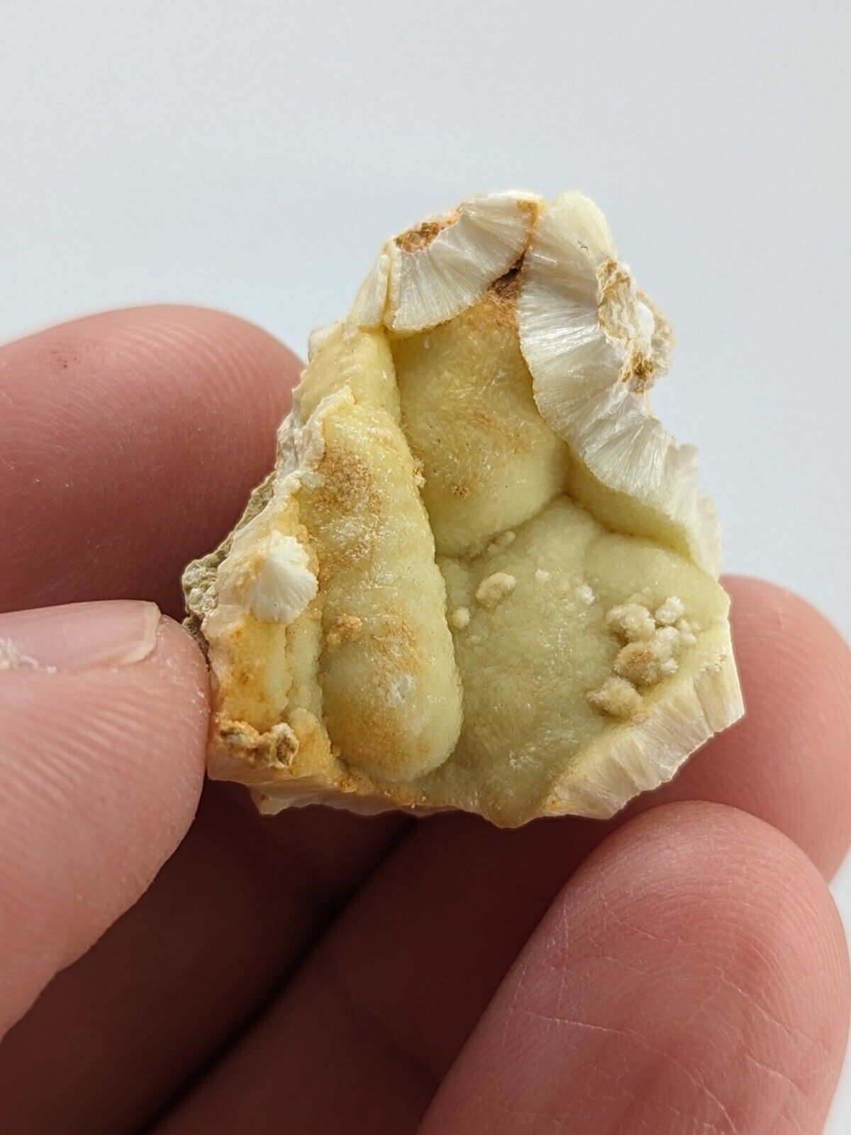 UV Reactive Yellow Wavellite -Old Stock - Crows Saline County Arkansas RARE - Collectibles:Rocks Fossils &