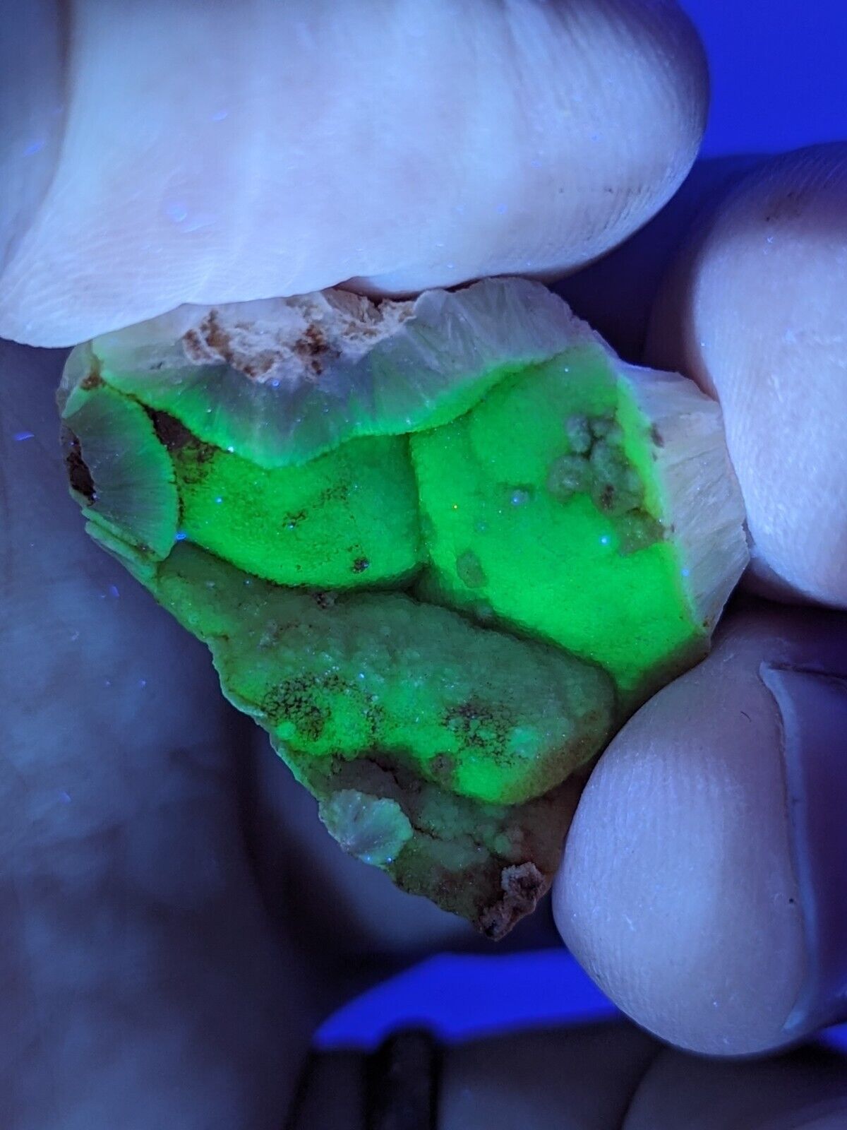 UV Reactive Yellow Wavellite -Old Stock - Crows Saline County Arkansas RARE - Collectibles:Rocks Fossils &