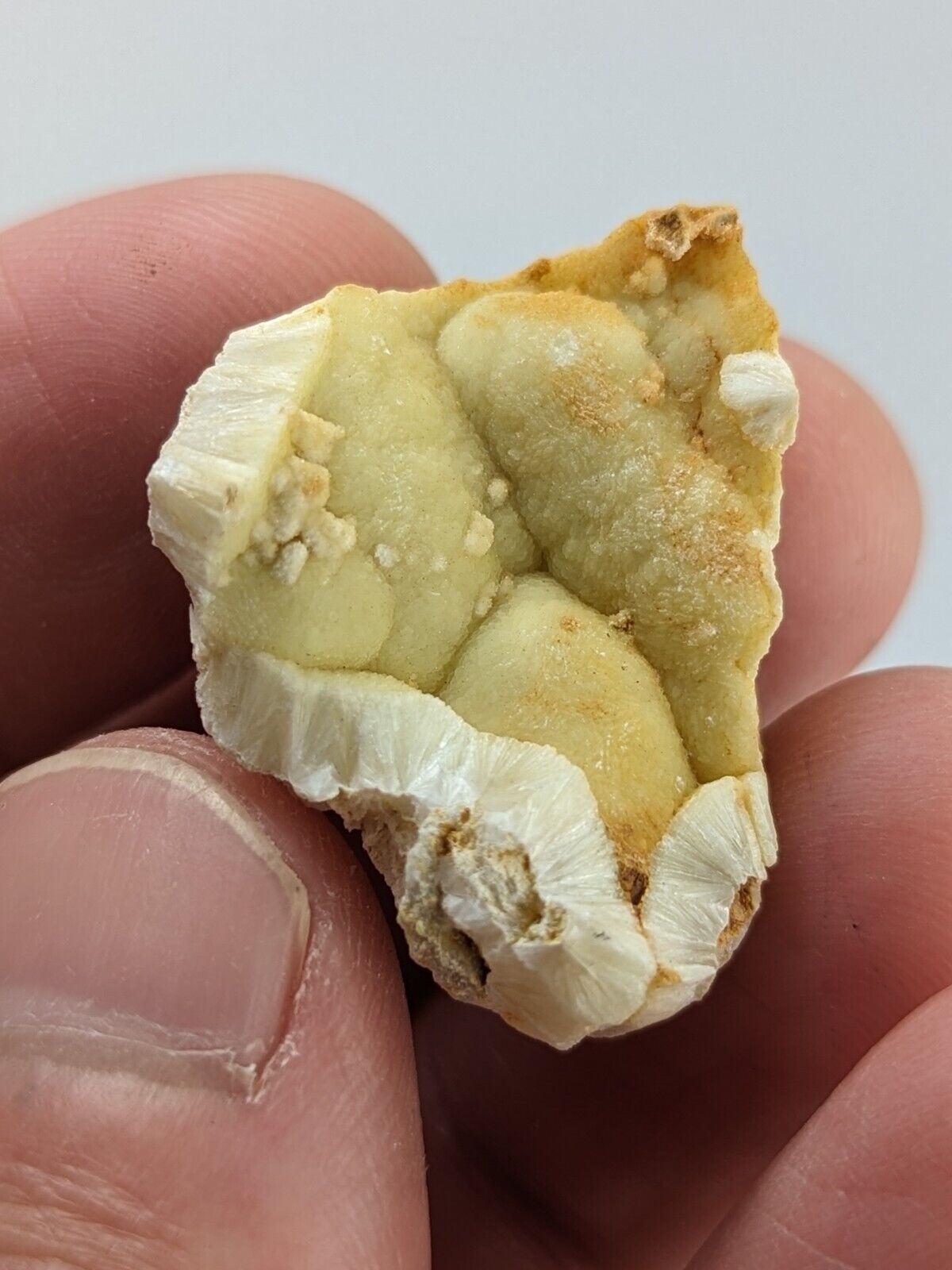 UV Reactive Yellow Wavellite -Old Stock - Crows Saline County Arkansas RARE - Collectibles:Rocks Fossils &