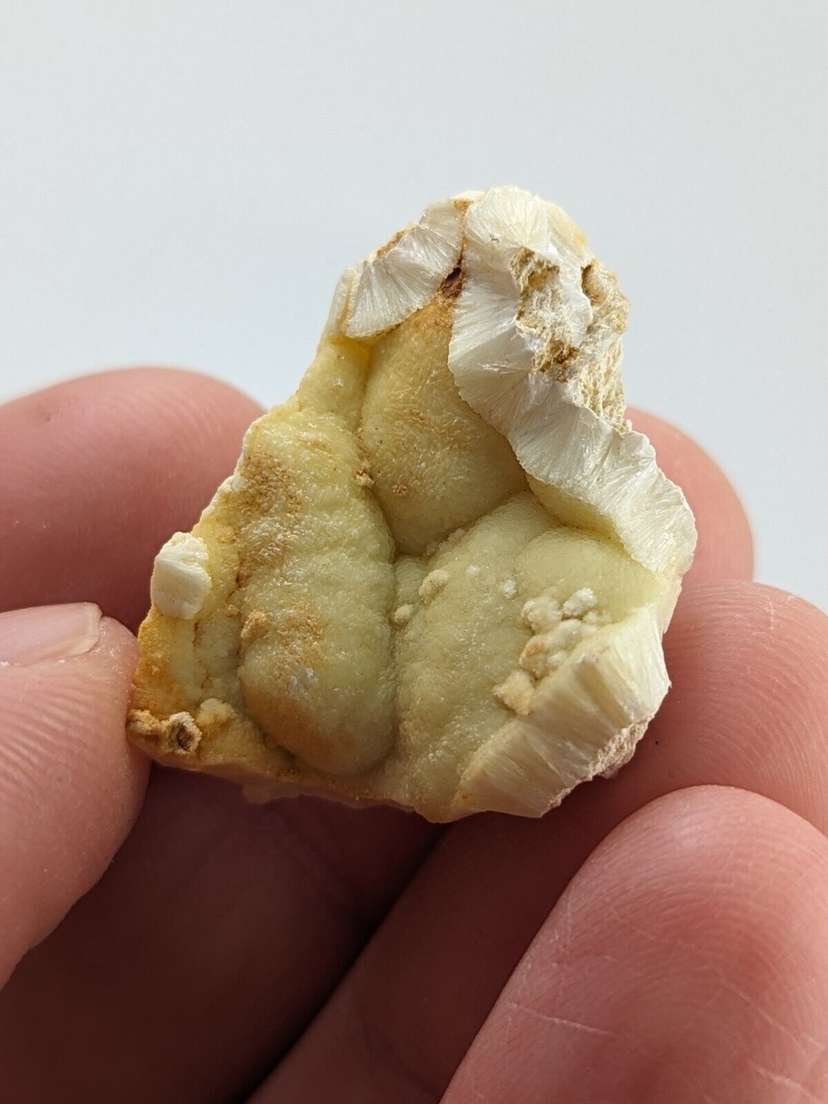 UV Reactive Yellow Wavellite -Old Stock - Crows Saline County Arkansas RARE - Collectibles:Rocks Fossils &
