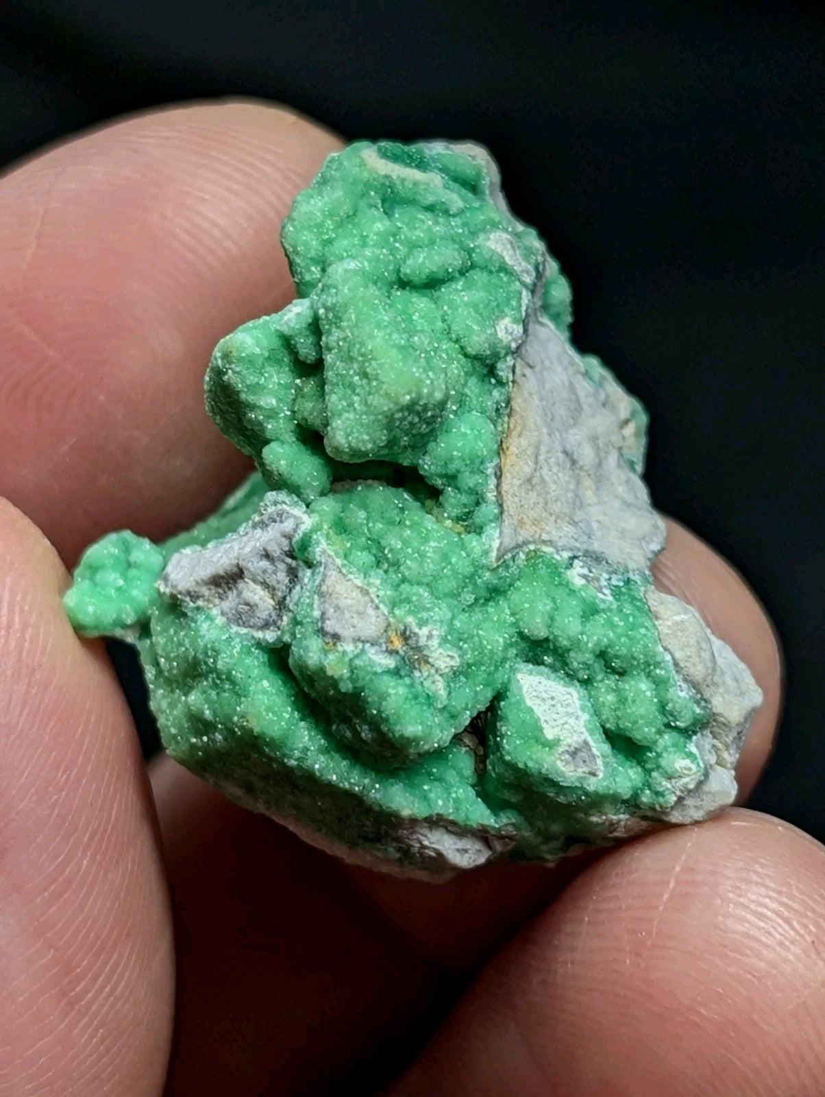 Variscite - Old Stock - 1960s Delinde claim - Garland County Arkansas - Collectibles:Rocks Fossils & Minerals:Crystals