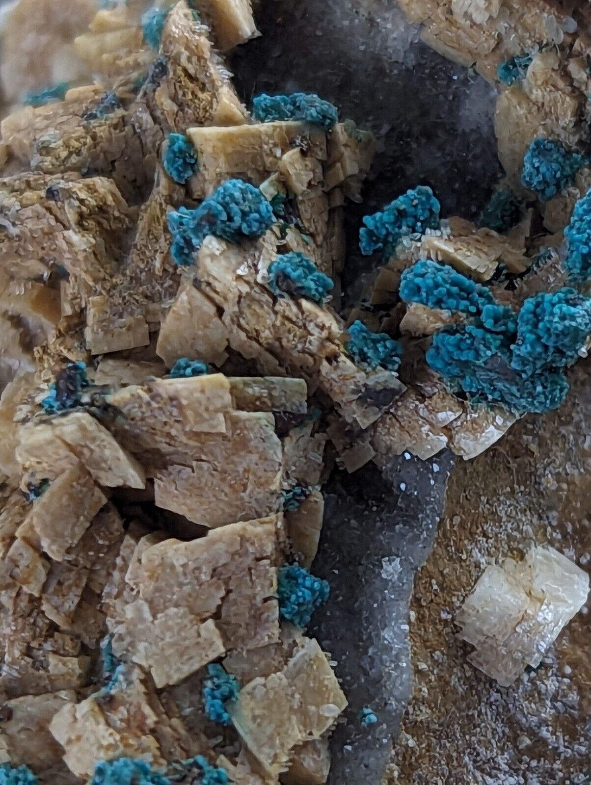 Very Rare Aurichalcite on Dolomite Red Cloud Mine Rush Marion Co. Arkansas - Collectibles:Rocks Fossils &