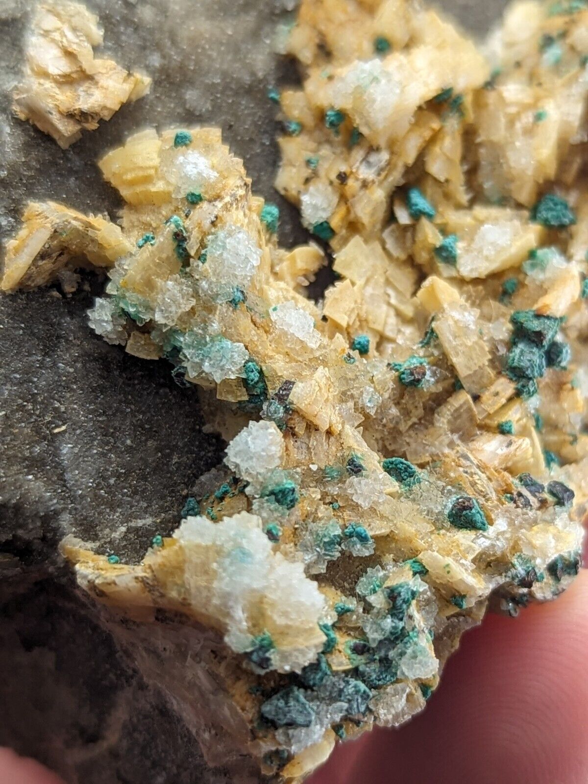 Very Rare Aurichalcite and Selenite Red Cloud Mine Rush Marion Co. Arkansas - Collectibles:Rocks Fossils &