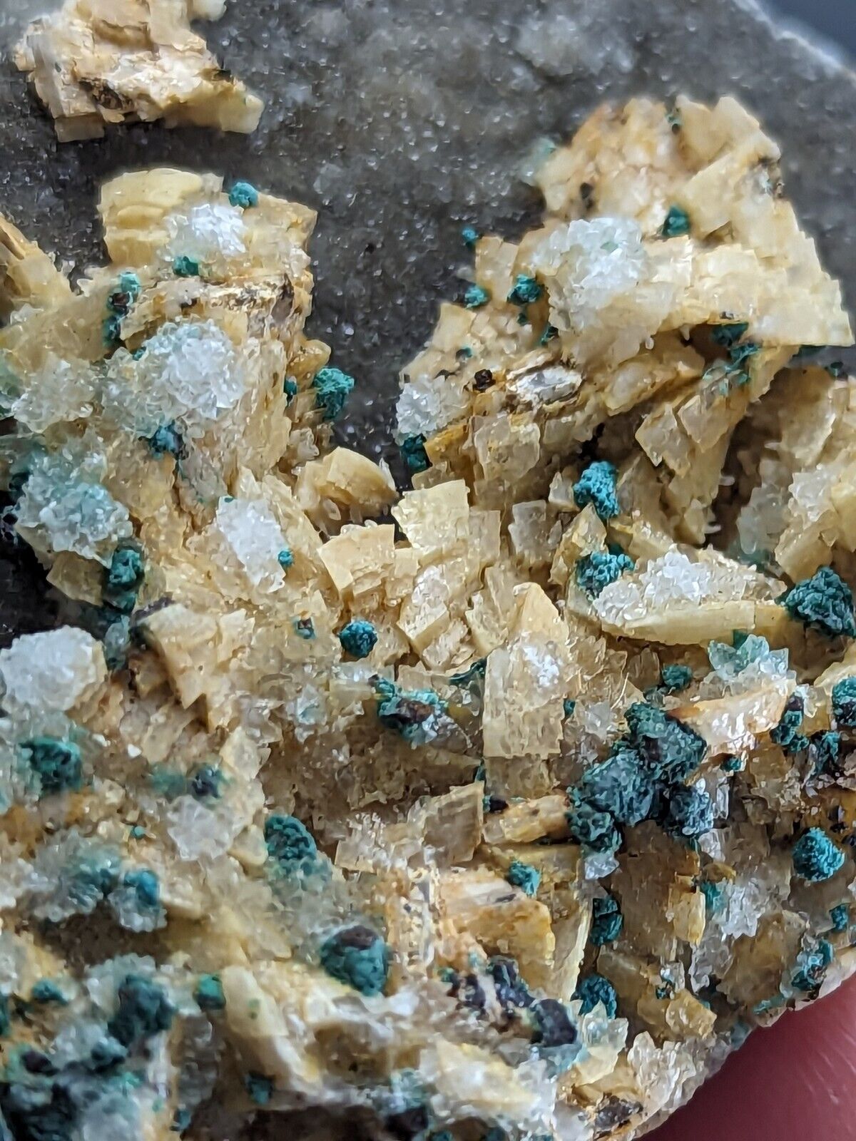 Very Rare Aurichalcite and Selenite Red Cloud Mine Rush Marion Co. Arkansas - Collectibles:Rocks Fossils &