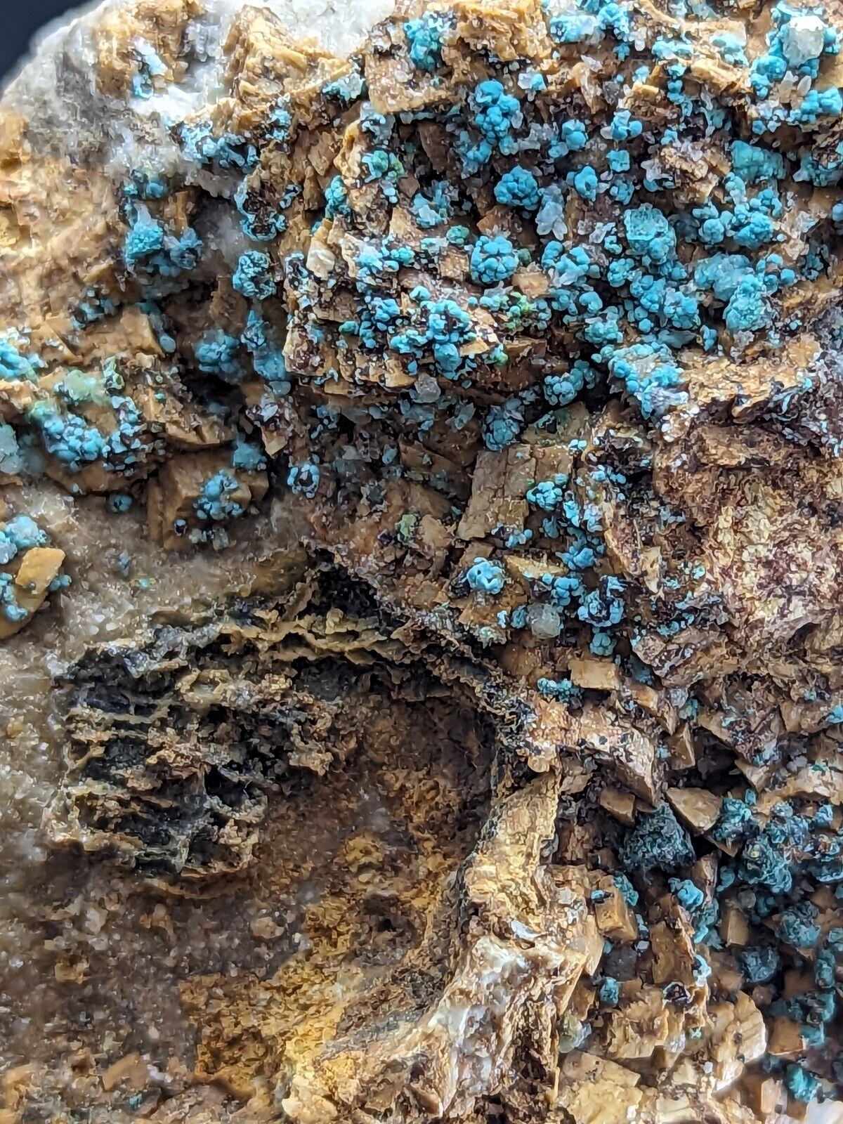Very Rare Aurichalcite and Selenite Red Cloud Mine Rush Marion Co. Arkansas - Collectibles:Rocks Fossils &