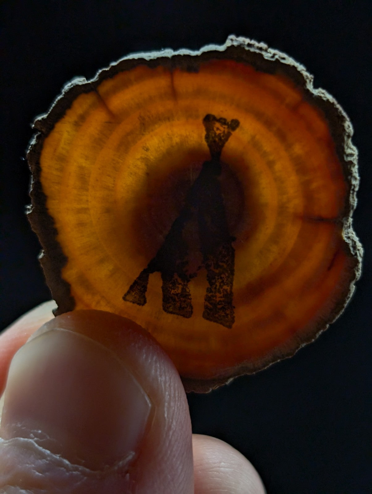 A circular, translucent amber-colored wood slice with visible concentric growth rings and a dark silhouette of a standing figure etched into its surface.