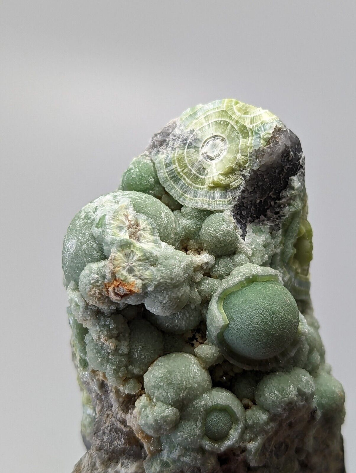 Very Unique Wavellite - Fantastic 1990s Old Stock - Mauldin Mountain Arkansas - Collectibles:Rocks Fossils &