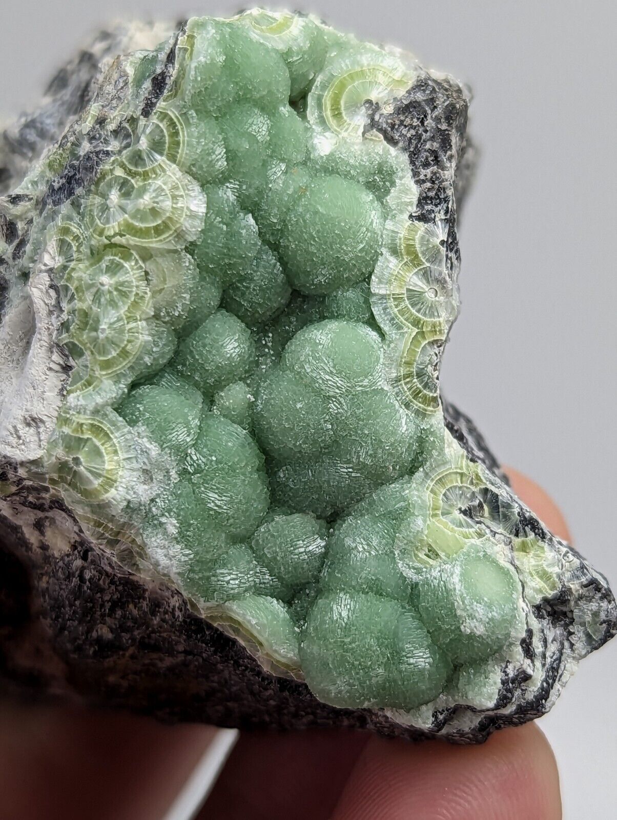 Vibrant Green Wavellite - Fantastic 1990s Old Stock- Mauldin Mountain Arkansas - Collectibles:Rocks Fossils &