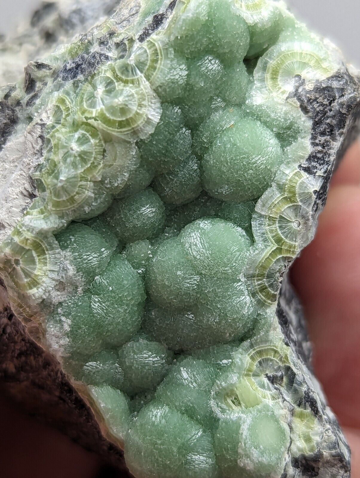 Vibrant Green Wavellite - Fantastic 1990s Old Stock- Mauldin Mountain Arkansas - Collectibles:Rocks Fossils &