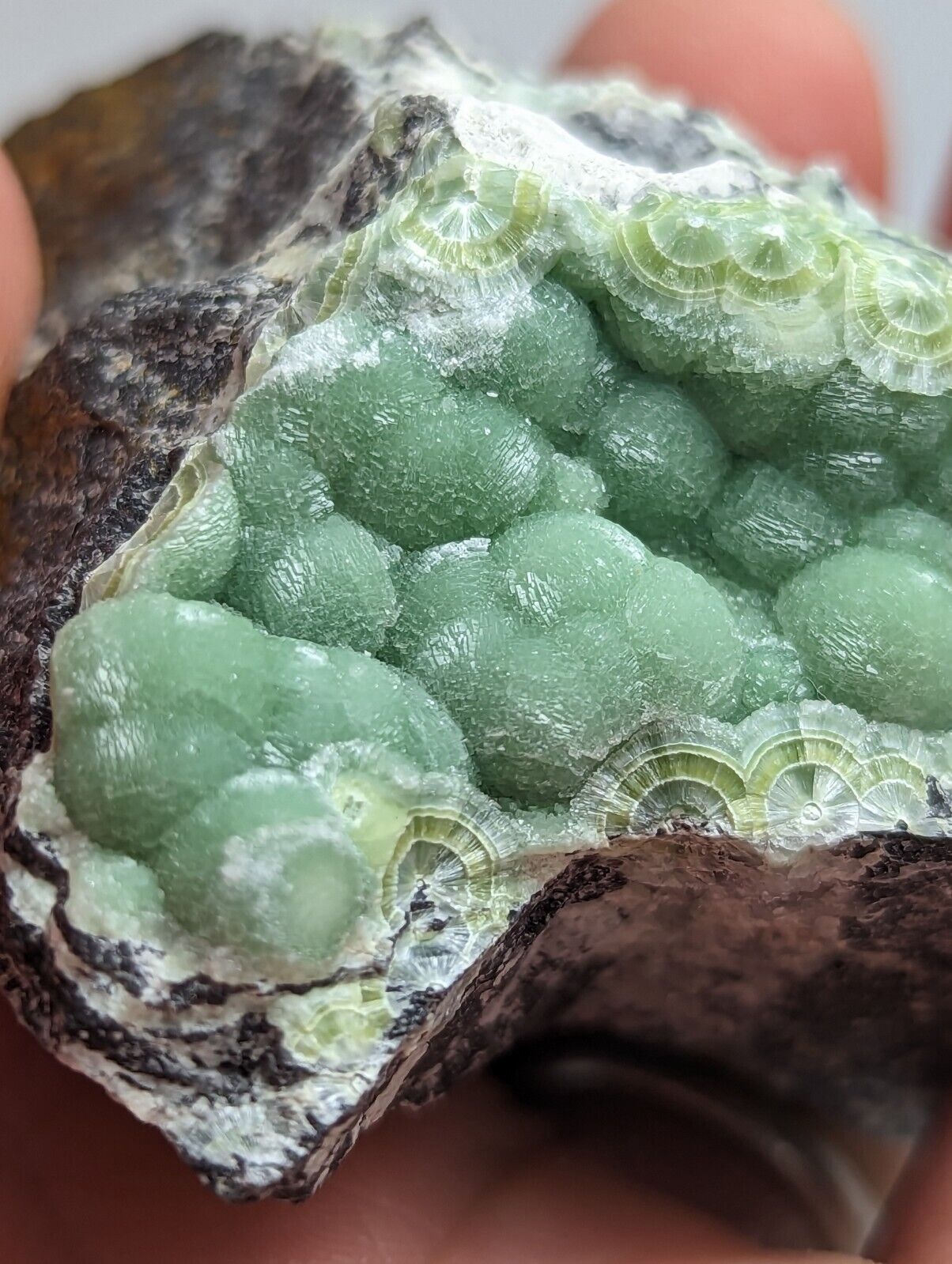 Vibrant Green Wavellite - Fantastic 1990s Old Stock- Mauldin Mountain Arkansas - Collectibles:Rocks Fossils &