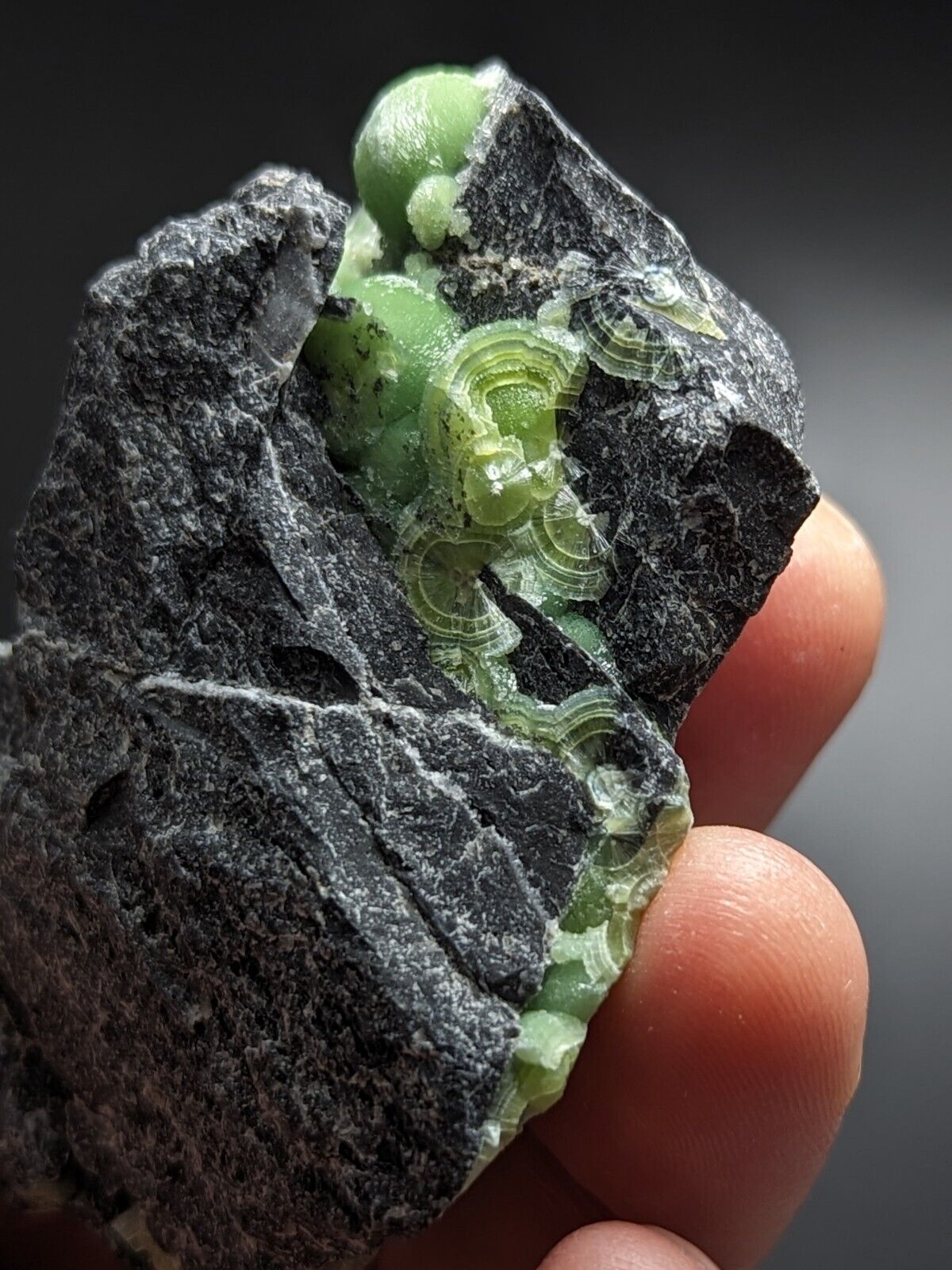 Vibrant Green Wavellite - Fantastic Old Stock - Mauldin Mountain Arkansas ooak - Collectibles:Rocks Fossils &