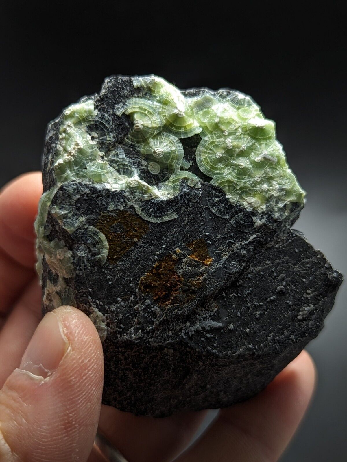 Vibrant Green Wavellite - Fantastic Old Stock - Mauldin Mountain Arkansas ooak - Collectibles:Rocks Fossils &