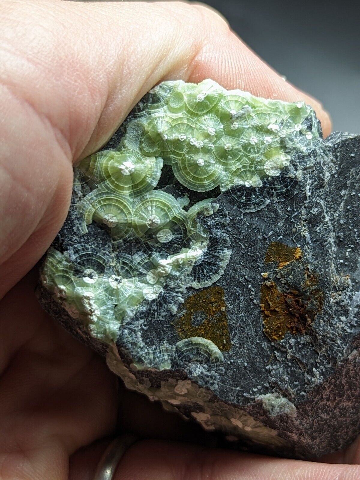 Vibrant Green Wavellite - Fantastic Old Stock - Mauldin Mountain Arkansas ooak - Collectibles:Rocks Fossils &
