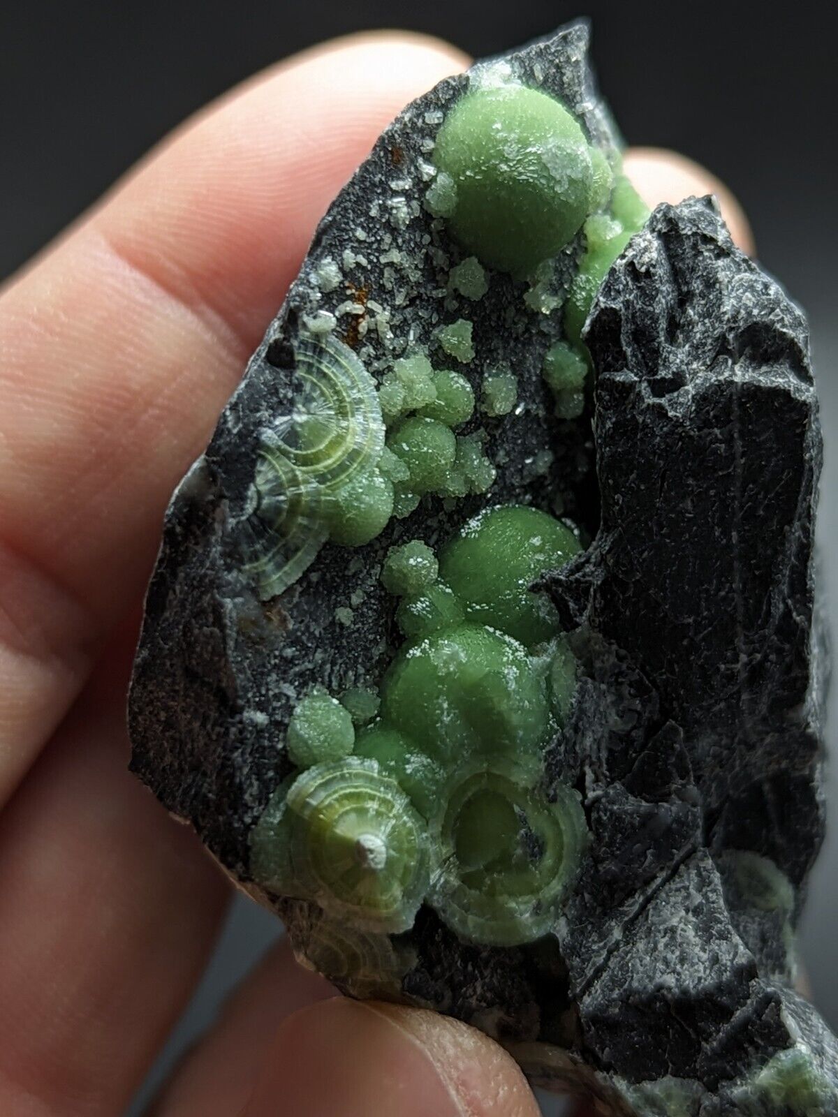 Vibrant Green Wavellite - Fantastic Old Stock - Mauldin Mountain Arkansas ooak - Collectibles:Rocks Fossils &