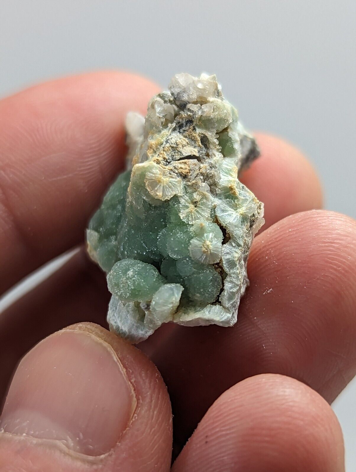 Green botryoidal mineral specimen.