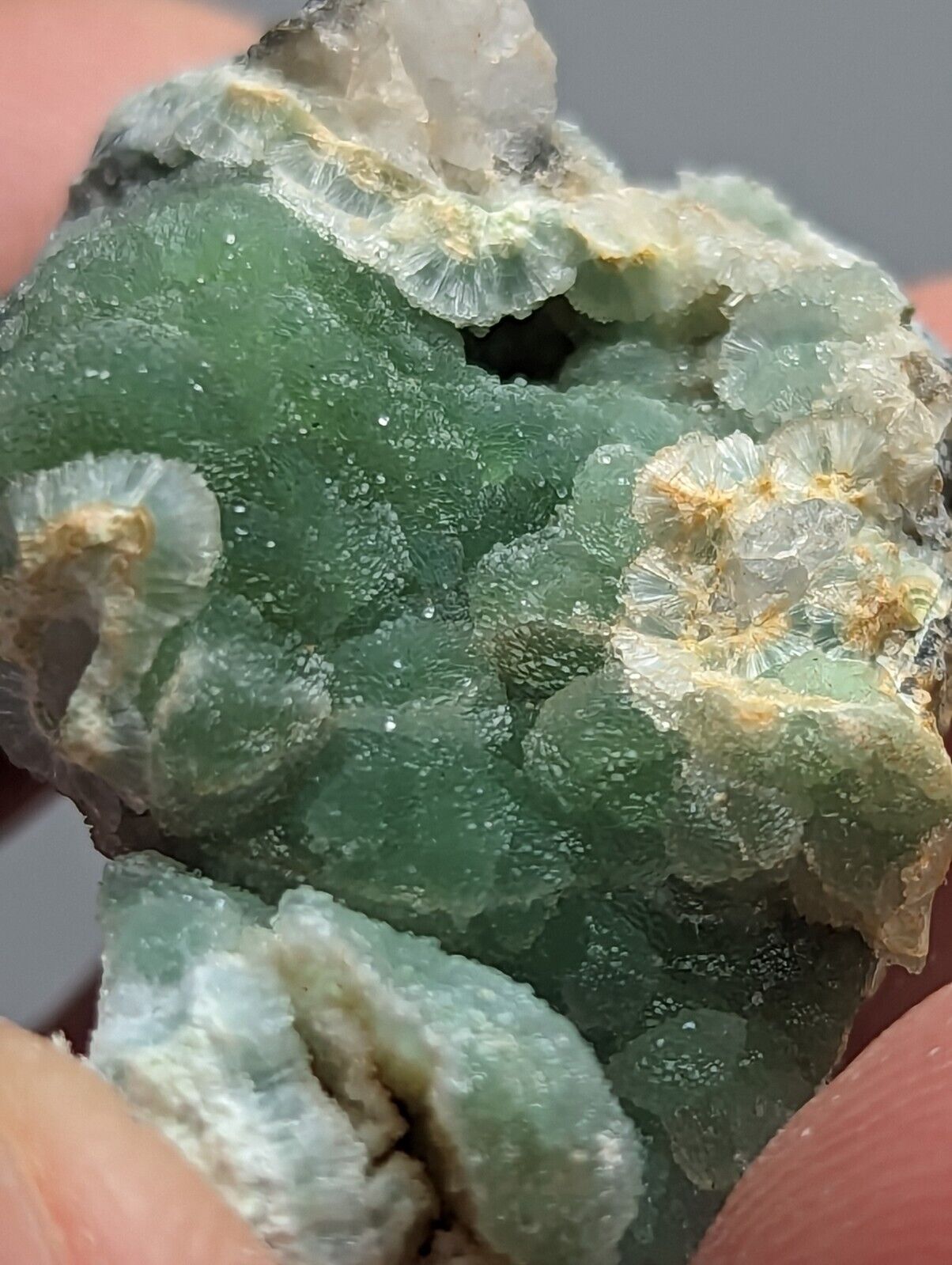 Green botryoidal mineral specimen.