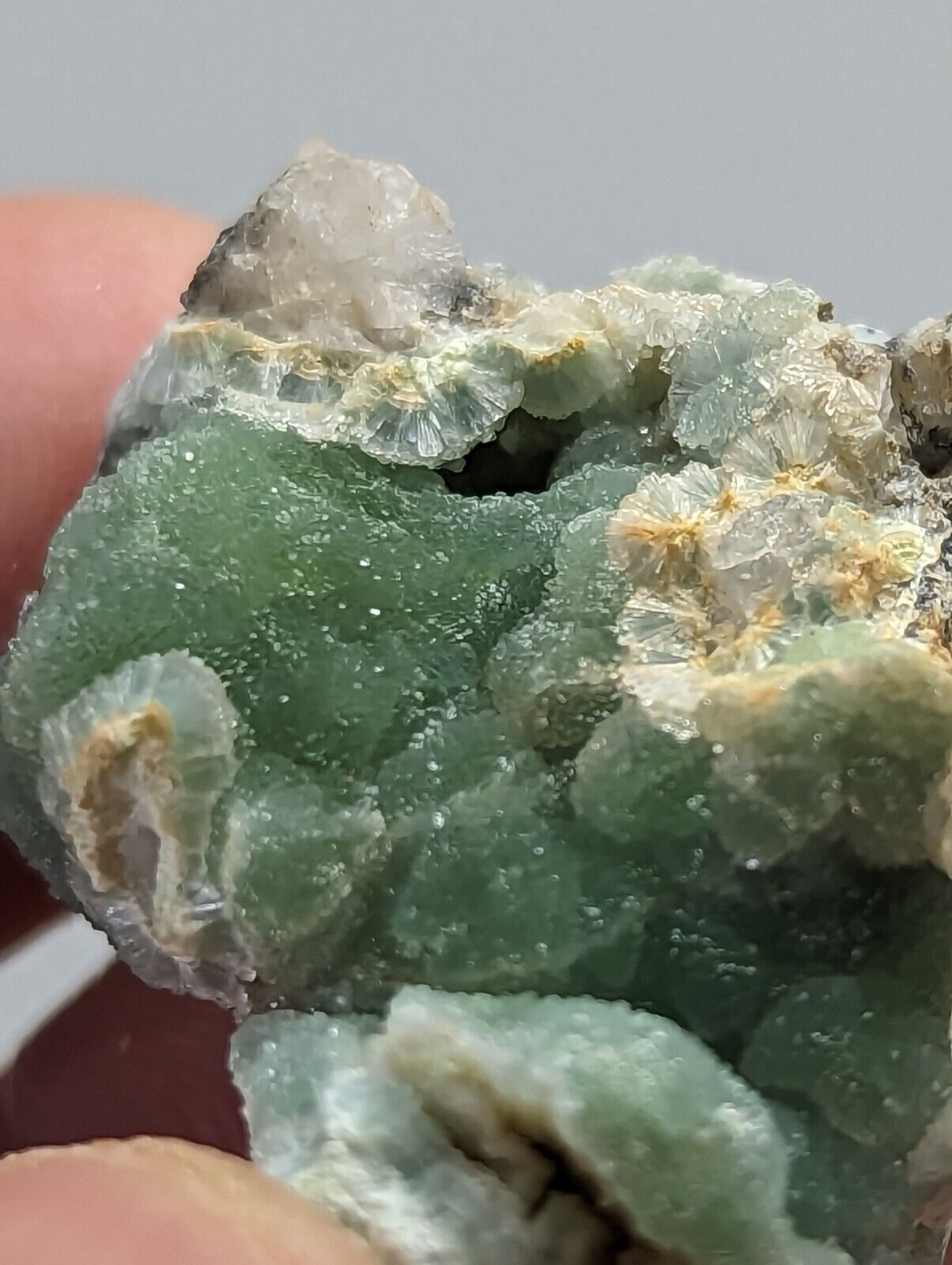 Green botryoidal mineral specimen.