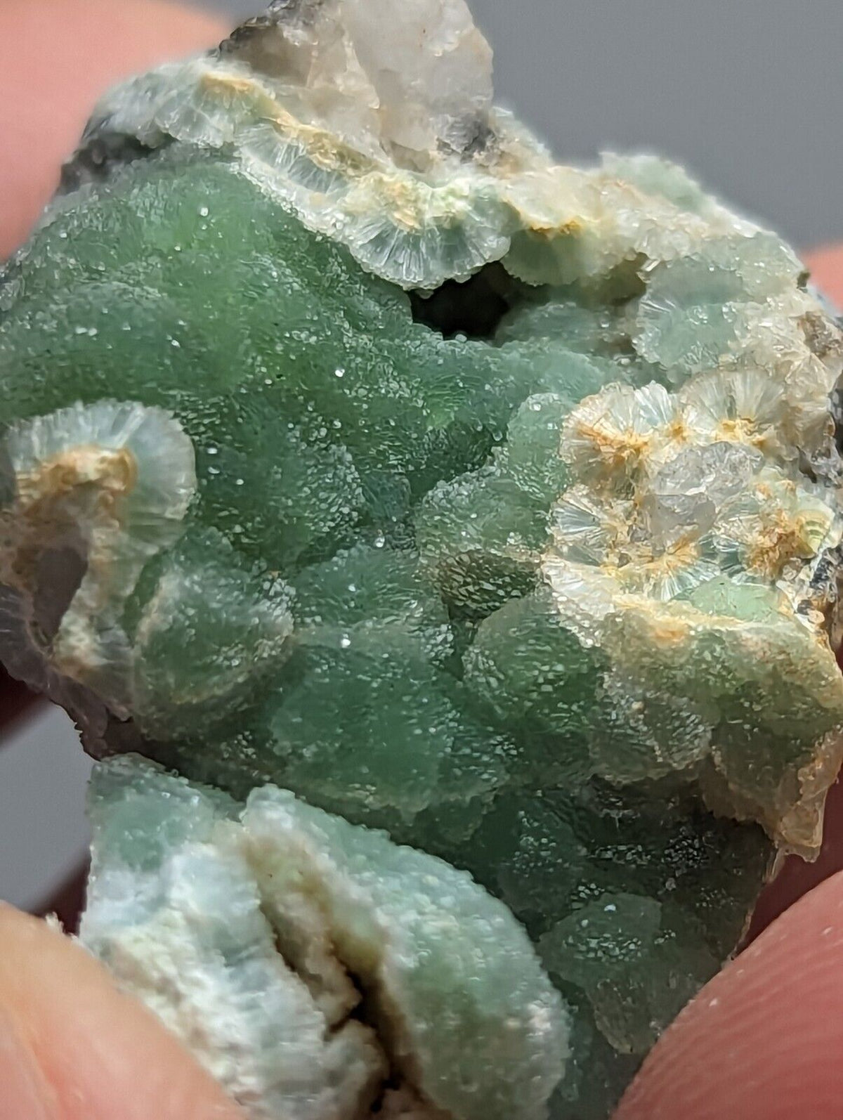 Green botryoidal mineral specimen.