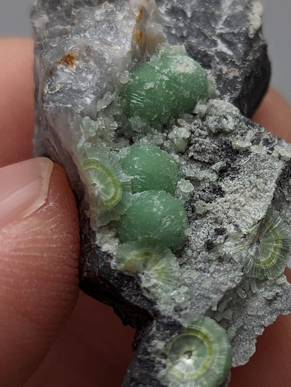 Vibrant Wavellite - Fantastic 1990s Old Stock - Mauldin Mountain Arkansas - Collectibles:Rocks Fossils &