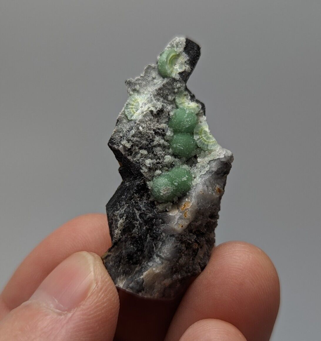Vibrant Wavellite - Fantastic 1990s Old Stock - Mauldin Mountain Arkansas - Collectibles:Rocks Fossils &