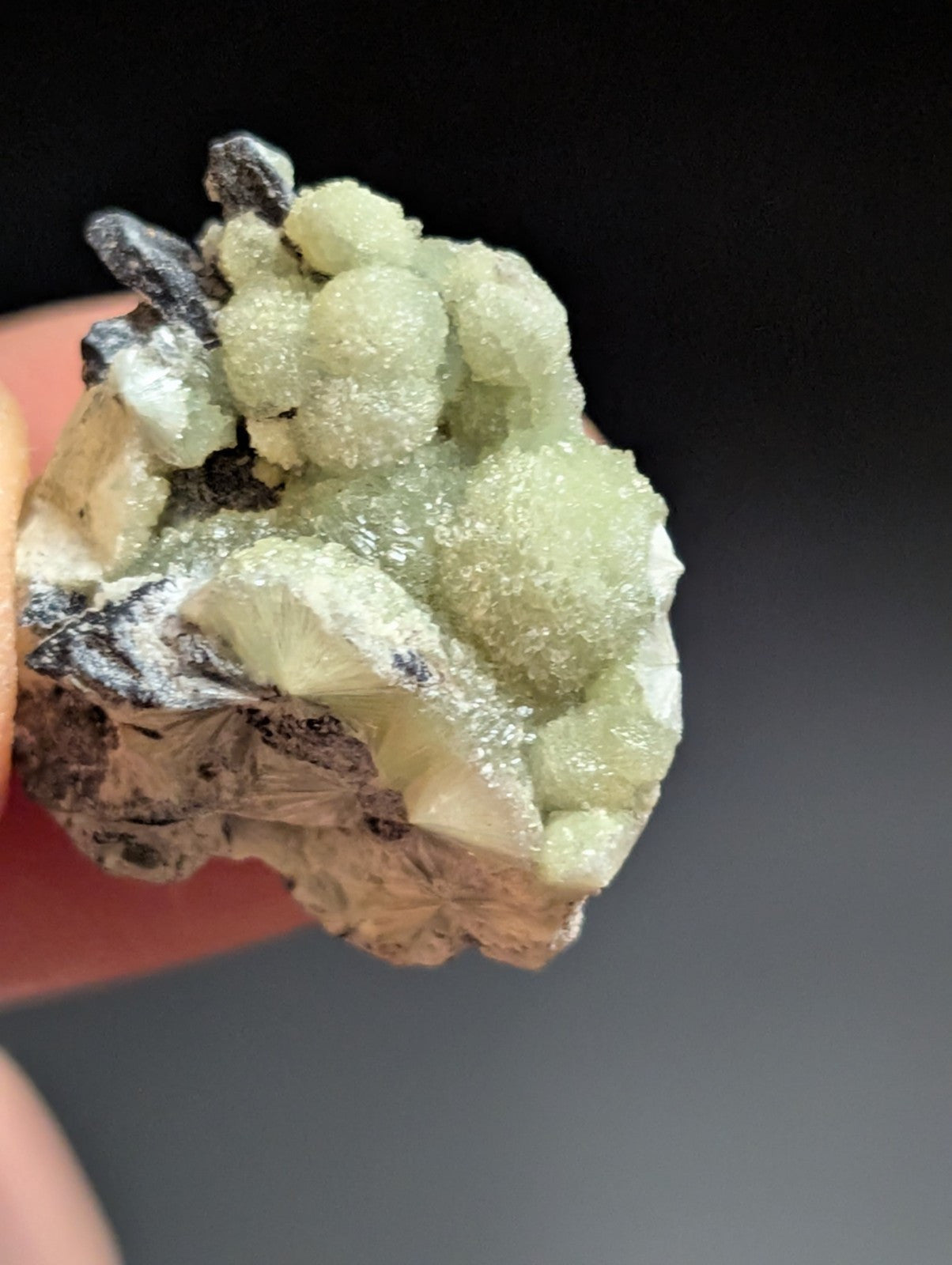 Wavellite - A + Crystallization - Old Stock - Mauldin Mountain Arkansas USA - Collectibles:Rocks Fossils &