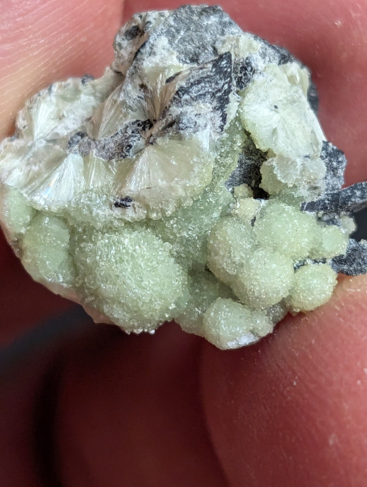 Wavellite - A + Crystallization - Old Stock - Mauldin Mountain Arkansas USA - Collectibles:Rocks Fossils &