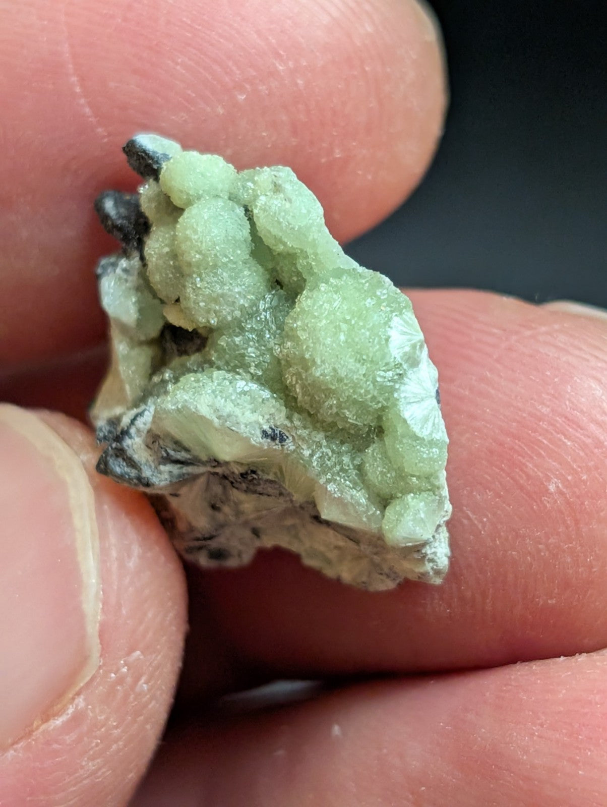 Wavellite - A + Crystallization - Old Stock - Mauldin Mountain Arkansas USA - Collectibles:Rocks Fossils &