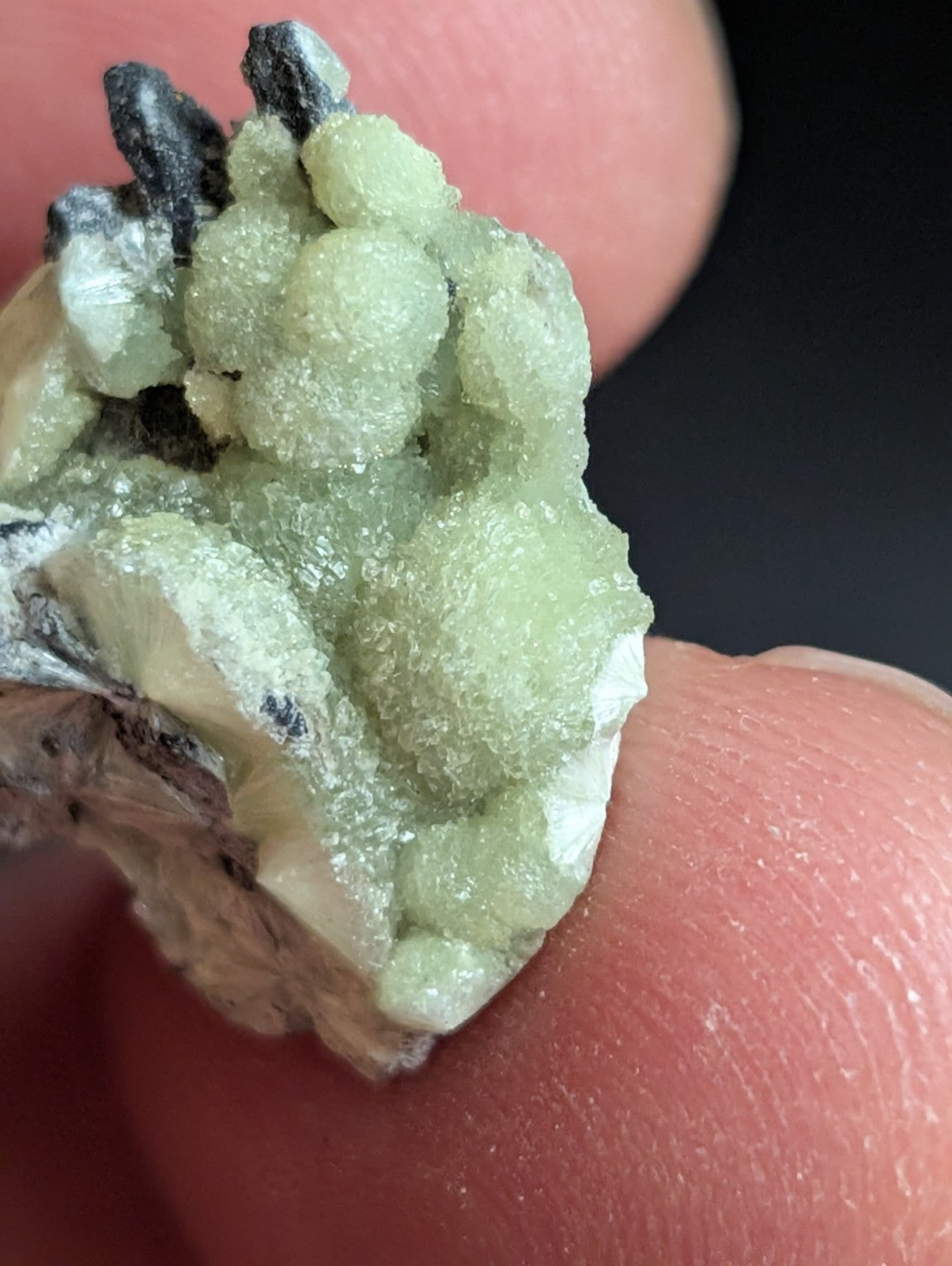 Wavellite - A + Crystallization - Old Stock - Mauldin Mountain Arkansas USA - Collectibles:Rocks Fossils &