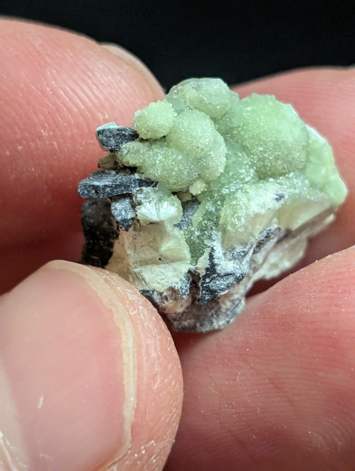 Wavellite - A + Crystallization - Old Stock - Mauldin Mountain Arkansas USA - Collectibles:Rocks Fossils &