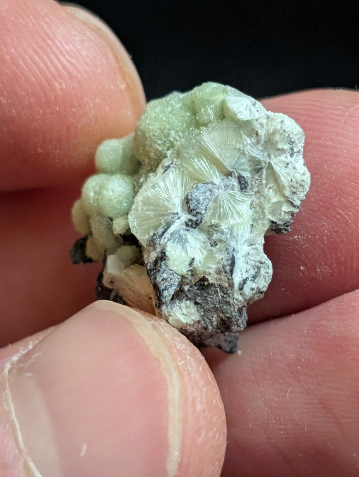 Wavellite - A + Crystallization - Old Stock - Mauldin Mountain Arkansas USA - Collectibles:Rocks Fossils &