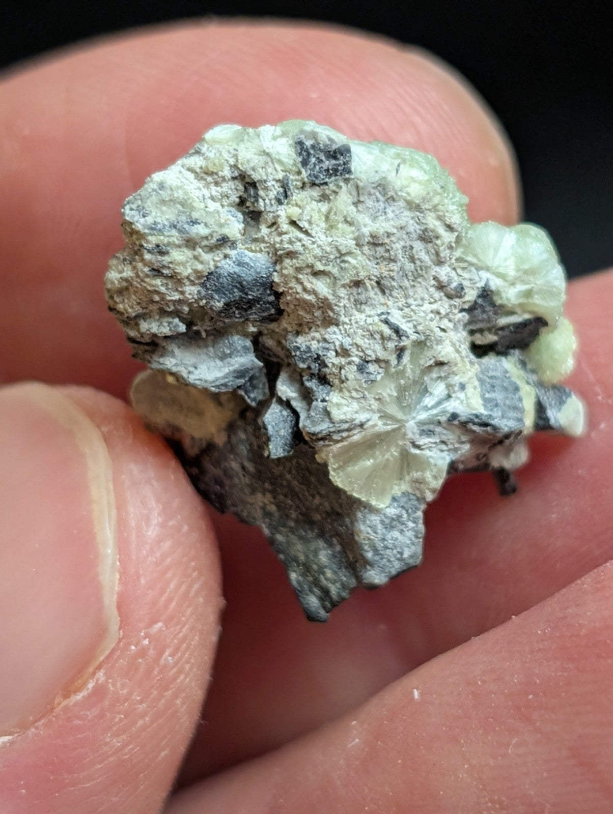 Wavellite - A + Crystallization - Old Stock - Mauldin Mountain Arkansas USA - Collectibles:Rocks Fossils &
